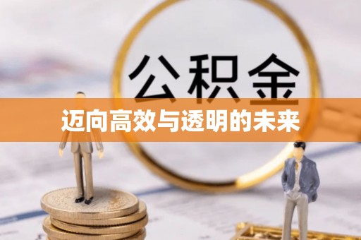 卫滨迈向高效与透明的未来
