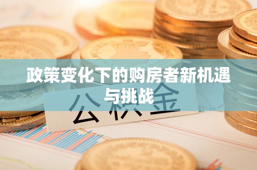 卫滨政策变化下的购房者新机遇与挑战