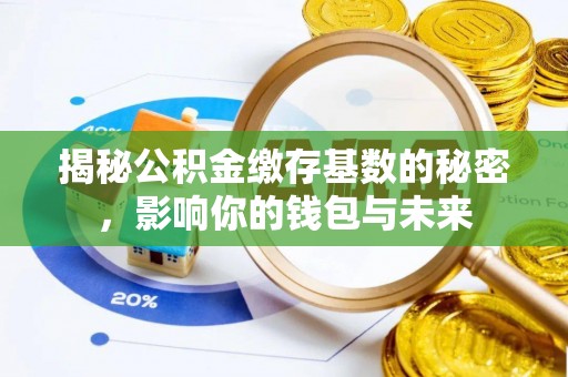 卫滨揭秘公积金缴存基数的秘密，影响你的钱包与未来