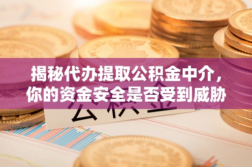 卫滨揭秘代办提取公积金中介，你的资金安全是否受到威胁？