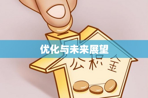 卫滨优化与未来展望