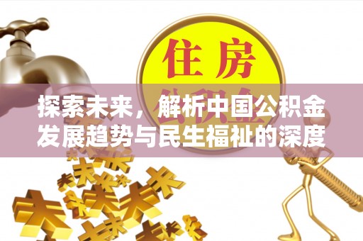 卫滨探索未来，解析中国公积金发展趋势与民生福祉的深度融合