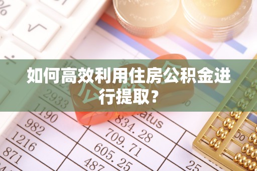 卫滨如何高效利用住房公积金进行提取？