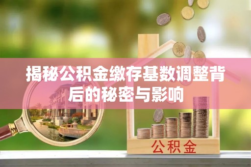 卫滨揭秘公积金缴存基数调整背后的秘密与影响