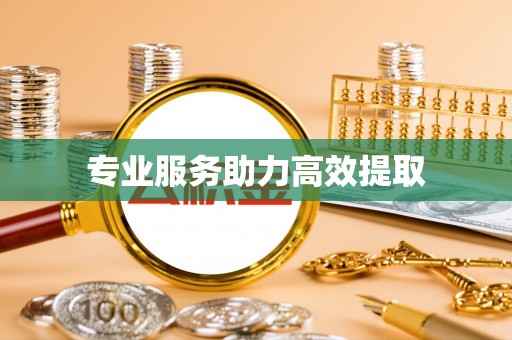 卫滨专业服务助力高效提取