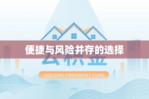卫滨便捷与风险并存的选择
