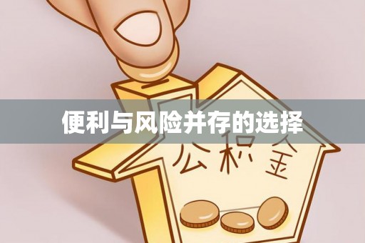 卫滨便利与风险并存的选择