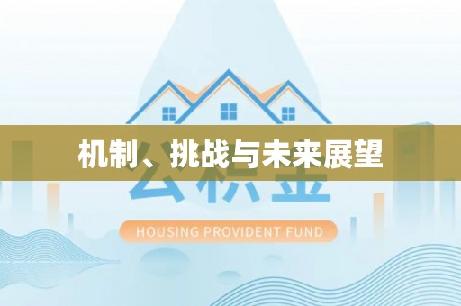 卫滨机制、挑战与未来展望