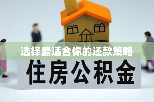 卫滨选择最适合你的还款策略