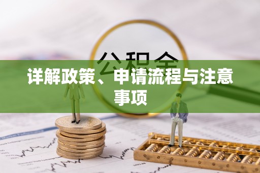 卫滨详解政策、申请流程与注意事项