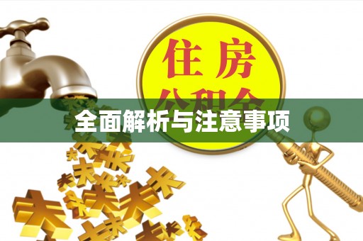 卫滨全面解析与注意事项