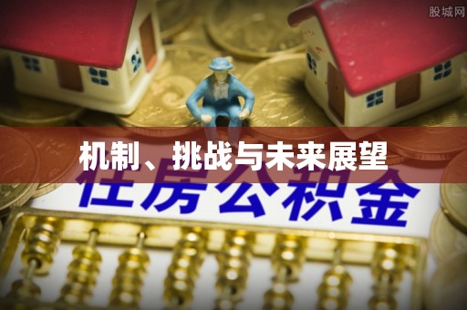 卫滨机制、挑战与未来展望