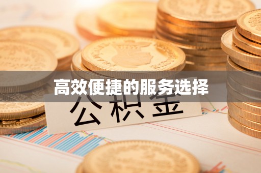 卫滨高效便捷的服务选择