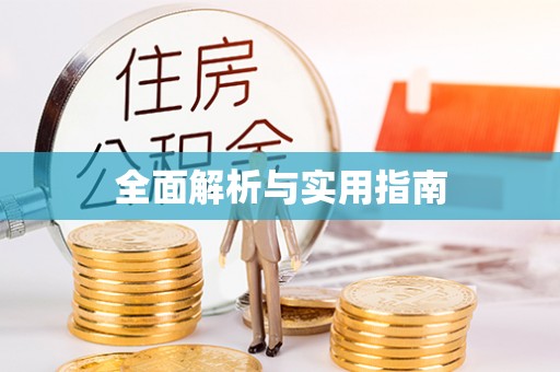 卫滨全面解析与实用指南